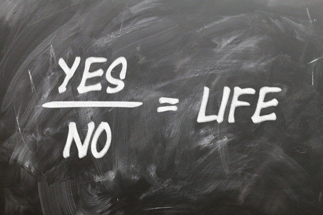 Yes divided by no equals life